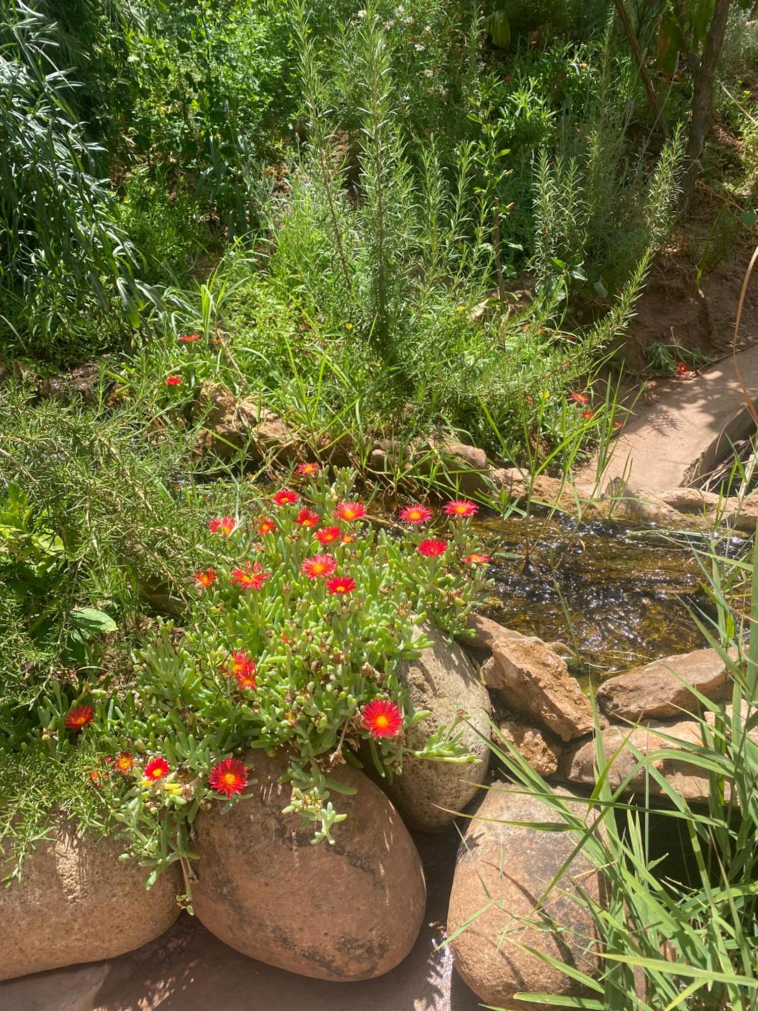 Jardin Sakina - Chambre D'Hotes Oulad Moumene Luaran gambar