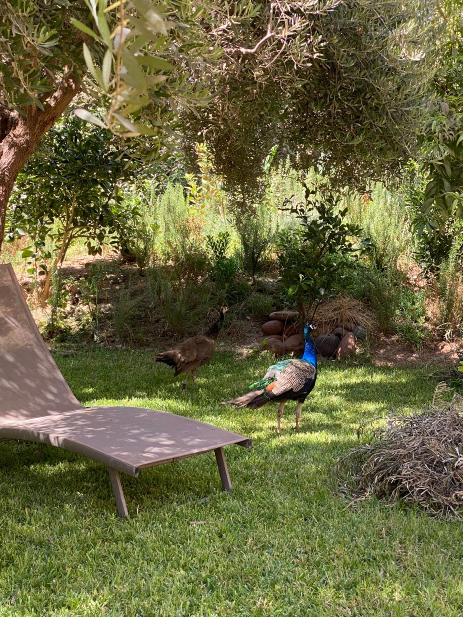 Jardin Sakina - Chambre D'Hotes Oulad Moumene Luaran gambar