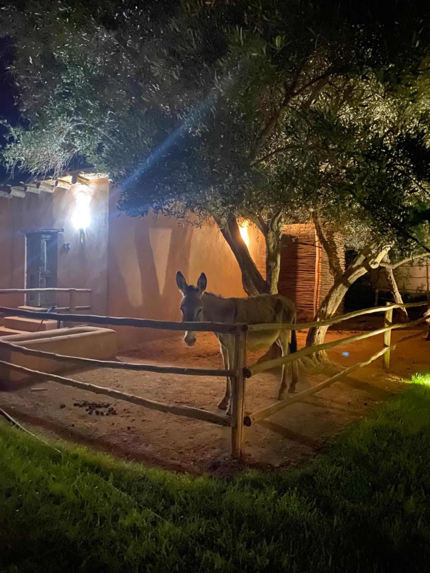 Jardin Sakina - Chambre D'Hotes Oulad Moumene Luaran gambar